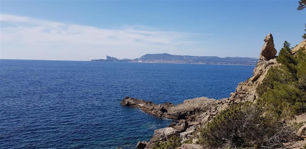 T3 A 10' De Cassis - Jacuzzi